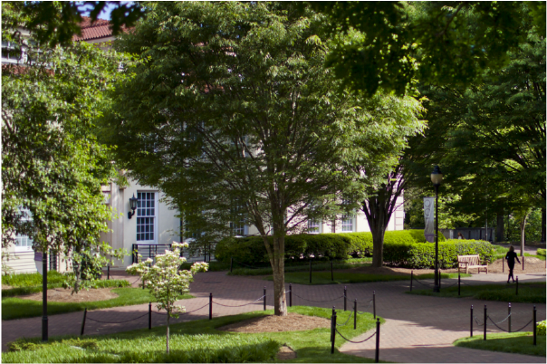 Dei building 